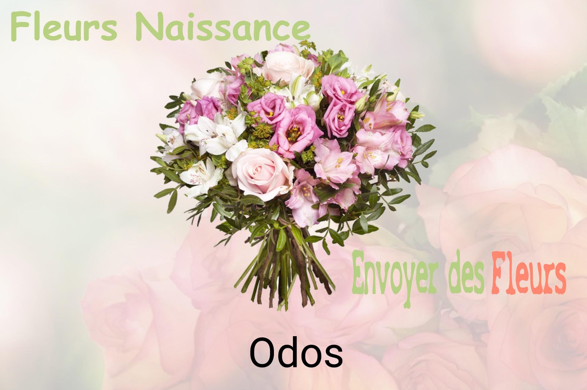 Bouquet de fleurs de naissance livré à Odos